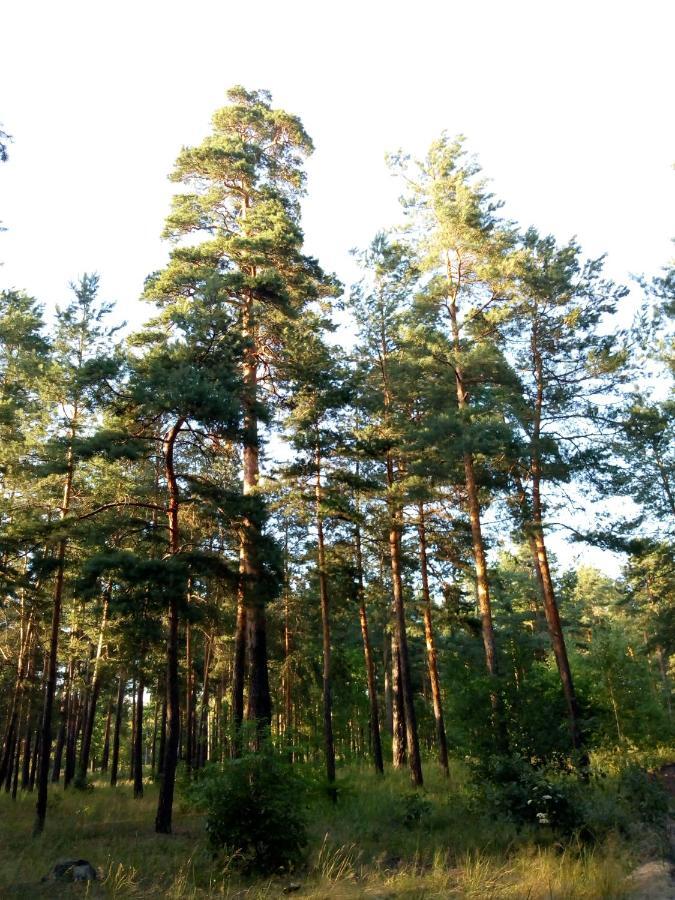 Guest House Kiev Forest Zewnętrze zdjęcie